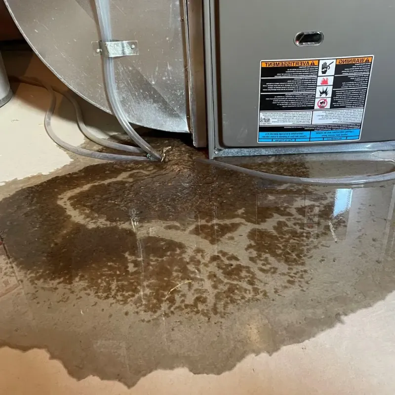 Pipe Burst and Leak Restoration in Copperas Cove, TX